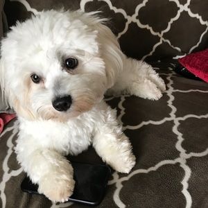 Meet your Posher, Cindy